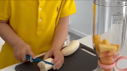 Original Fresh Juicer Portable Blender